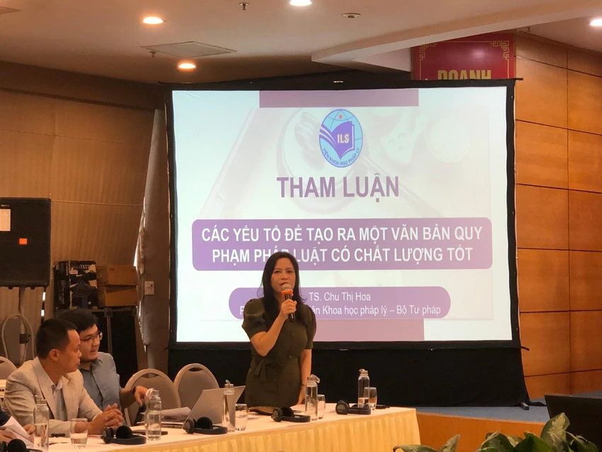 Bà Chu Thị Hoa phát biểu tại Hội thảo. Ảnh: Minh Trúc.