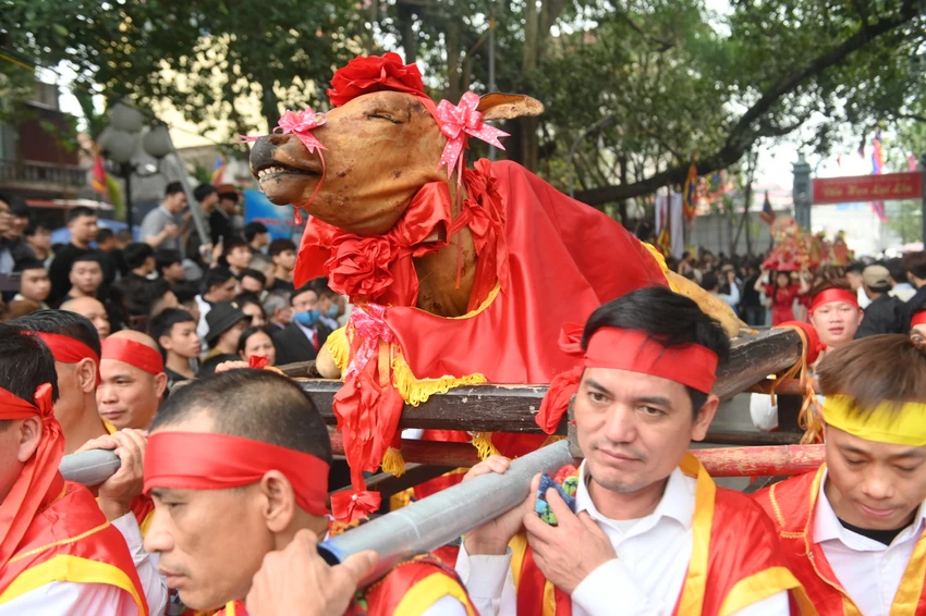 Lễ vật dâng gồm một con bò thui được phủ kín bằng lụa đào, do bốn trai đinh trang trọng dâng tế. ẢNH: HOÀNG ANH Lễ vật dâng gồm một con bò thui được phủ kín bằng lụa đào, do bốn trai đinh trang trọng dâng tế. ẢNH: HOÀNG ANH
