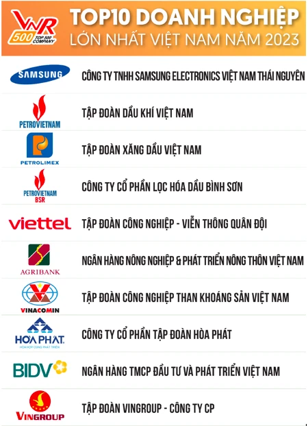 Doanh nghiệp lớn nhất Việt Nam