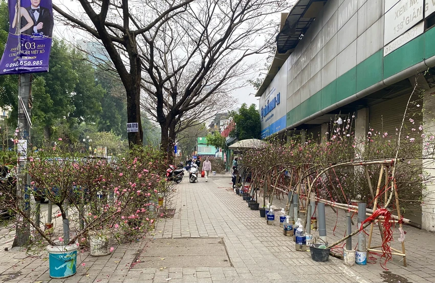 Tết
