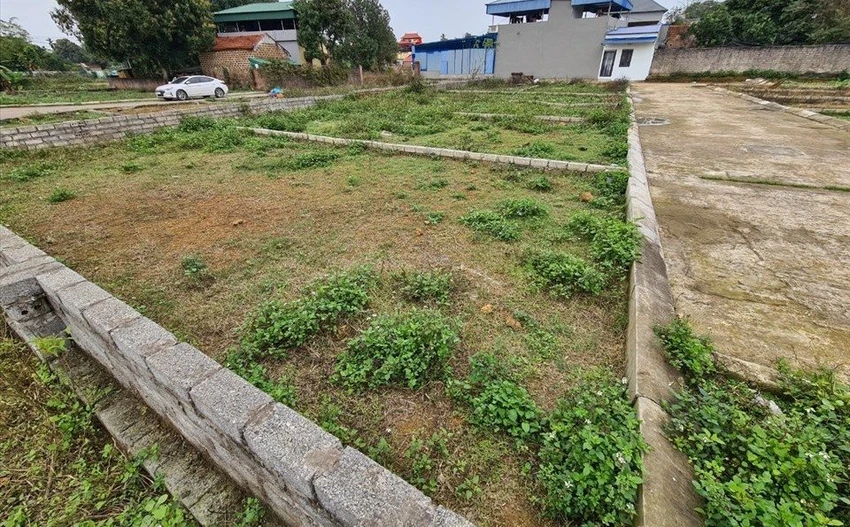 đất nền