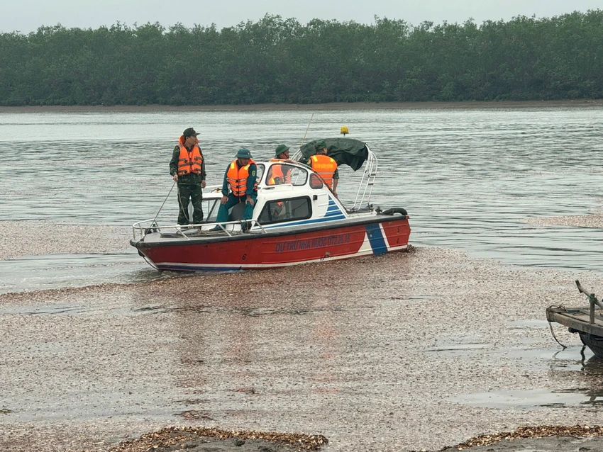 Quảng Ninh.jpeg