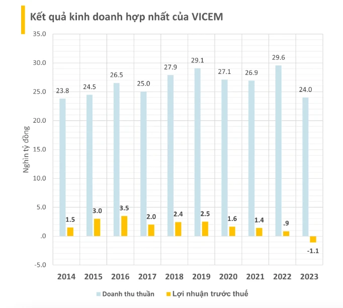 VICEM.png