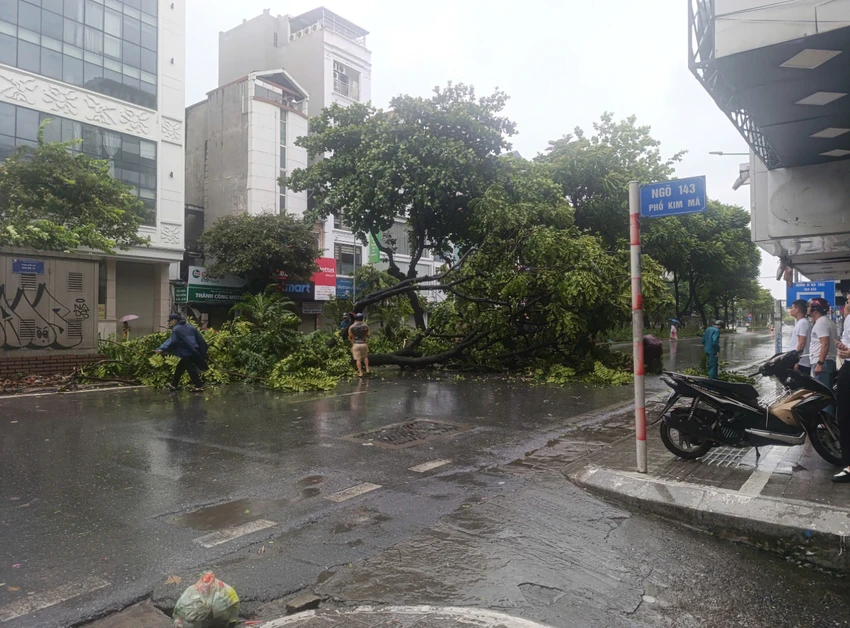 Cơn bão số 3.png