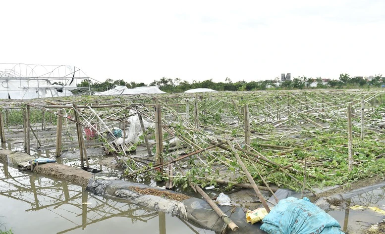 bão số 3 Phó TTg 2.jpg