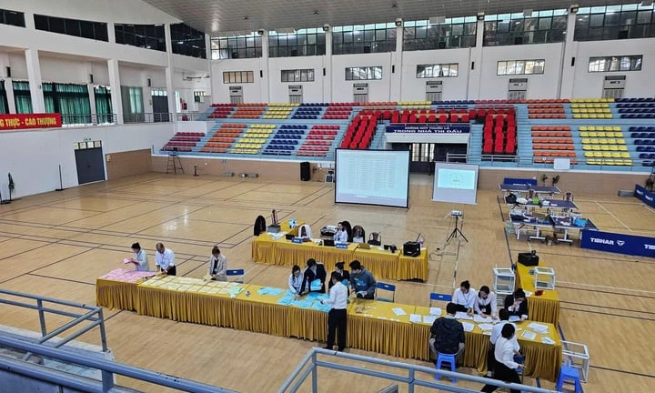đấu giá đất