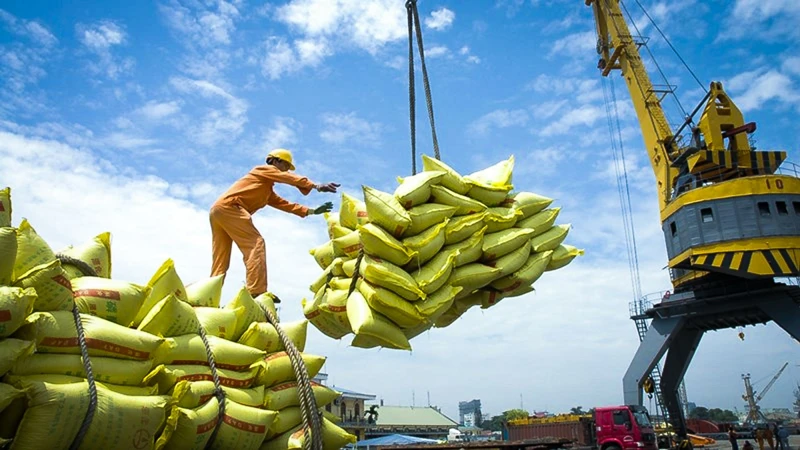 Xuất khẩu gạo gặp khó, Thủ tướng chỉ đạo có phương án mua dự trữ để chủ động ứng phó.