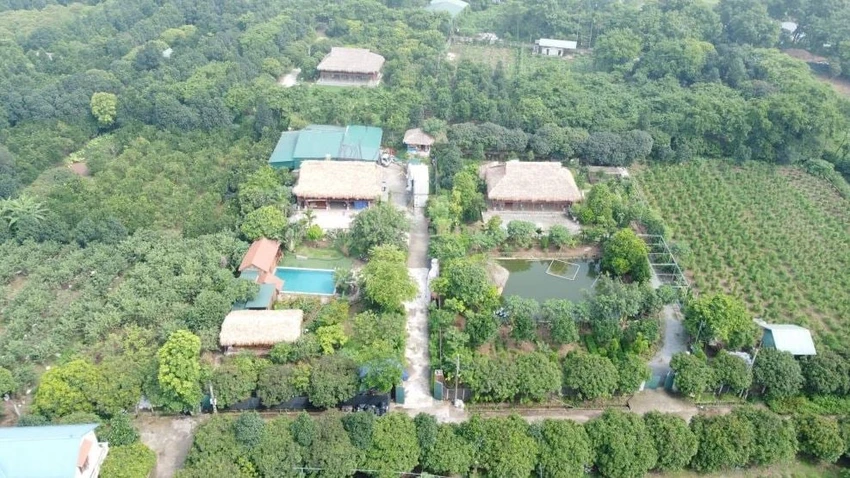 Vì tiền chuyển đổi mục đích sử dụng đất vườn thành đất ở quá cao, nhiều người dân không đủ khả năng đóng tiền. Ảnh: X.Đ