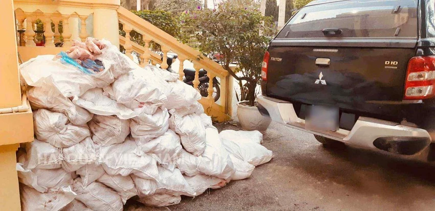 thực phẩm đông lạnh nhập lậu.jpg