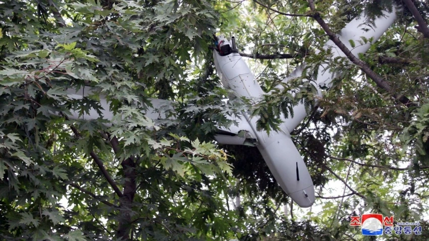 Triều Tiên đăng ảnh chụp UAV nghi của Hàn Quốc bị mắc trên cây