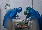 Diễn tiến COVID-19 tại Đông Nam Á: Ngày sau báo động hơn ngày trước!