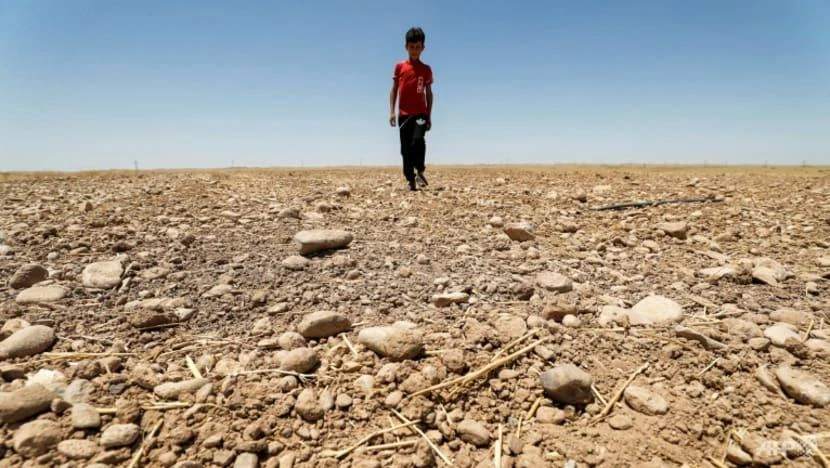 Các đợt nắng nóng nghiêm trọng đang xảy ra trên toàn thế giới. Ảnh AFP Các đợt nắng nóng nghiêm trọng đang xảy ra trên toàn thế giới. Ảnh AFP