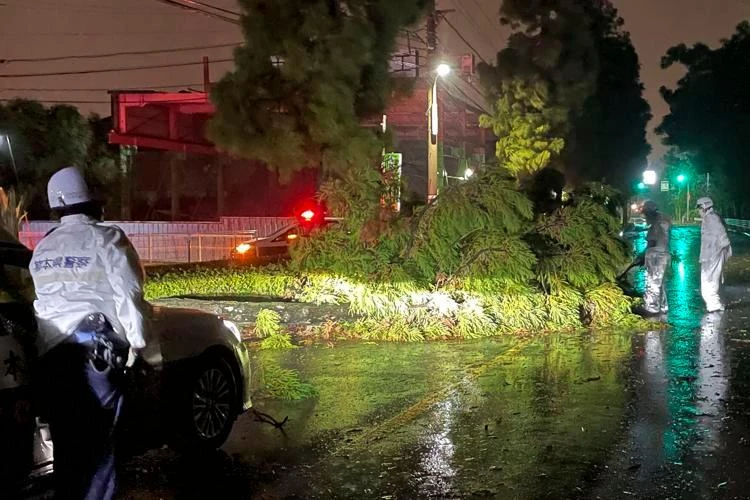 Bão Nanmadol đổ bộ vào đảo Kyushu gây đổ ngã cây lớn trên đường. ẢNH: KYODO NEWS Bão Nanmadol đổ bộ vào đảo Kyushu gây đổ ngã cây lớn trên đường. ẢNH: KYODO NEWS
