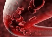 Israel phát hiện 5 loại protein trong virus SARS-CoV-2 gây tổn thương mạch máu