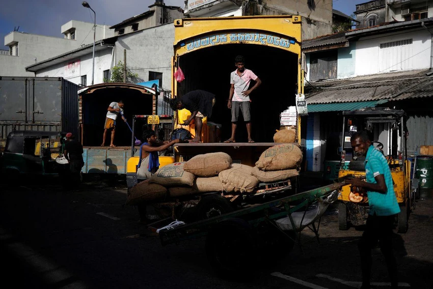 Sri Lanka kêu gọi nông dân trồng lúa trước tình trạng thiếu lương thực trầm trọng. Ảnh: REUTERS