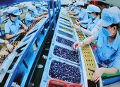 Chính phủ hỗ trợ người mất việc, ngừng việc vì COVID-19