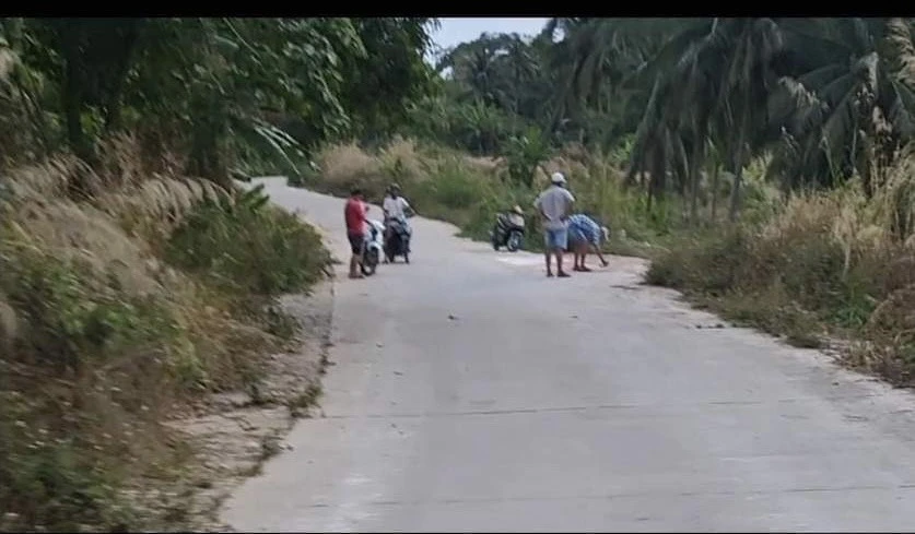 Các hộ dân phản ánh nhiều đối tượng tự ý xịt sơn lên đất hợp pháp của mình. Ảnh: NDCC Các hộ dân phản ánh nhiều đối tượng tự ý xịt sơn lên đất hợp pháp của mình. Ảnh: NDCC