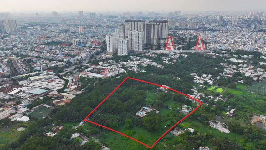 dự án 6a