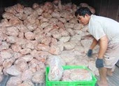 Hơn 20 tấn phụ phẩm heo biến chất suýt thành giò lụa