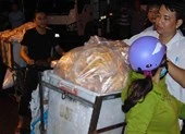 Phát hiện sai phạm ở trung tâm giết mổ gia cầm lớn tại TP.HCM