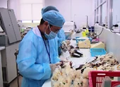 Bệnh viện nói về việc thừa huyết tương để xuất khẩu 