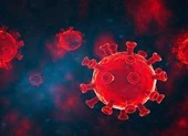 Lý do khiến biến thể SARS-CoV-2 ngày càng nguy hiểm