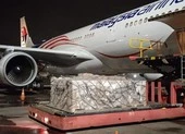 Lô thuốc Remdesivir đầu tiên do Vingroup nhập khẩu đã về tới Việt Nam