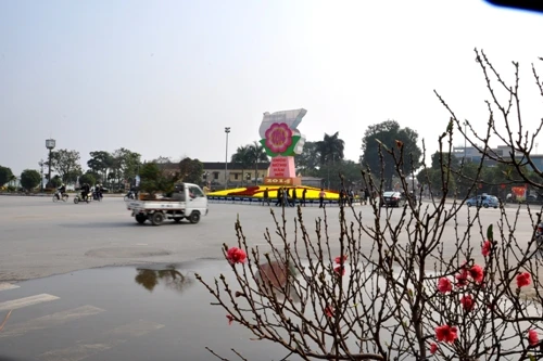 Hoa đào 'đổ bộ' xuống phố đón chào Tết ảnh 2 Hoa đào 'đổ bộ' xuống phố đón chào Tết