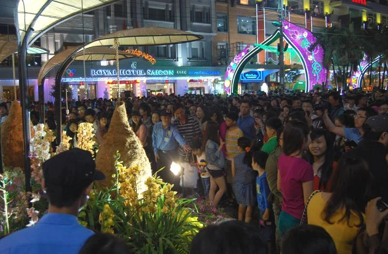 Khai mạc đường hoa Nguyễn Huệ 2014 ảnh 6 Khai mạc đường hoa Nguyễn Huệ 2014 ảnh 6