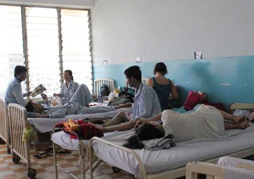 Xuất hiện 'ổ dịch' thủy đậu tại TP.HCM ảnh 1 Xuất hiện 'ổ dịch' thủy đậu tại TP.HCM ảnh 1