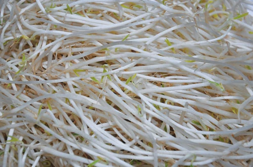 Ăn uống chống nắng nóng ảnh 2 Ăn chống nóng 2