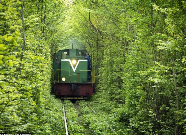 “Đường hầm'” tình yêu đẹp như cổ tích ở Ukraine ảnh 3 kl11-1916-1395077313.jpg