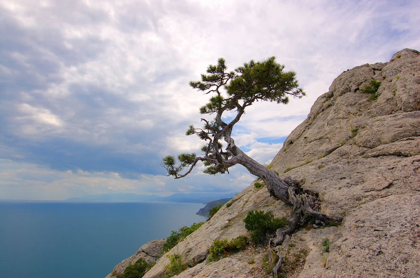 Thiên nhiên ban tặng gì cho Crimea? Thiên nhiên ban tặng gì cho Crimea?