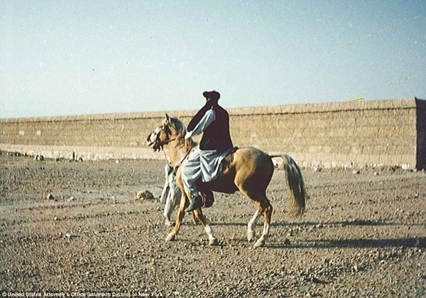 Ảnh hiếm bên trong 'sào huyệt' của Osama Bin Laden ảnh 17