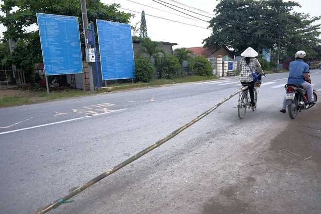Làm thế nào để vận chuyển một cây tre thật dài? Câu trả lời đã có sẵn trên hình cho bạn. 20 hình ảnh gây sốc về vận chuyển người và hàng hóa