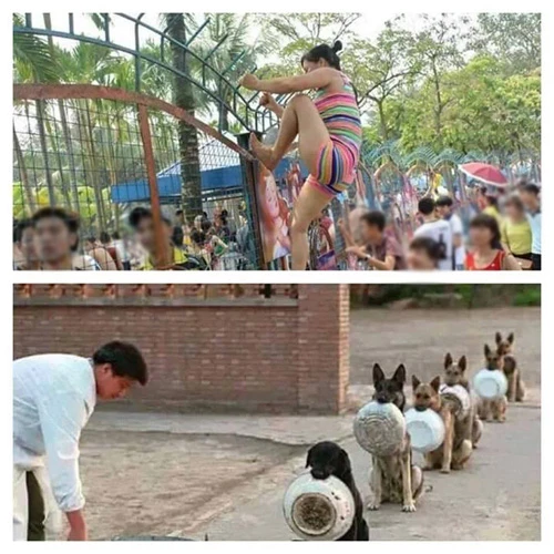 Hài hước: Những bức ảnh chế sau vụ công viên nước Hồ Tây ảnh 13 Hài hước: Những bức ảnh chế sau vụ công viên nước Hồ Tây ảnh 13