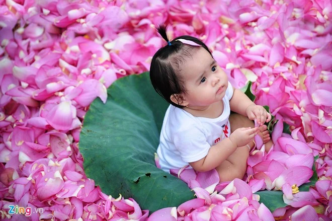 Sen còn là nguồn cảm hứng cho nhiều nhiếp ảnh gia, các gia đình có con nhỏ, đặc biệt là giới trẻ. Hà Nội rực rỡ mùa hoa sen