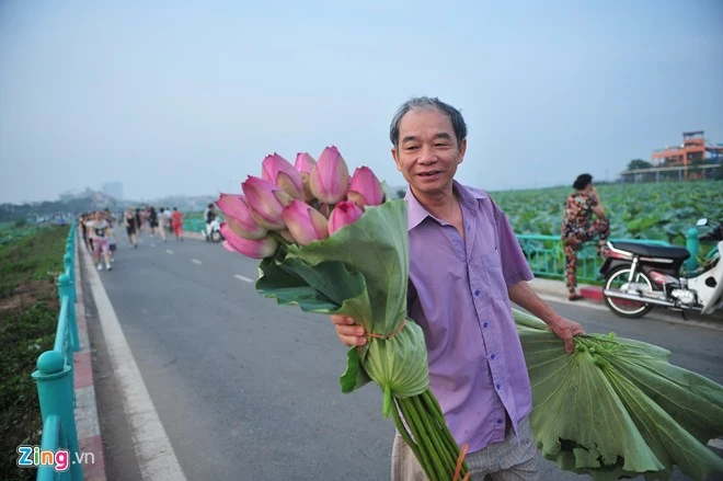 Sen đầu mùa thường được gọi là sen quỳ, thông thường có giá 40.000 đồng/chục bông. Hà Nội rực rỡ mùa hoa sen