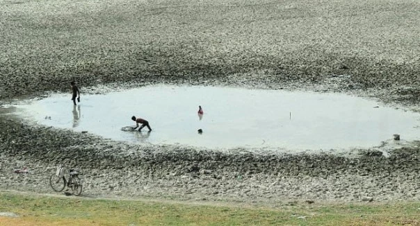 Người dân bắt cá trong ao sắp cạn ở thị trấn Phaphamau, thành phố Allahabad, bang Uttar Pradesh. Ảnh:Getty 1