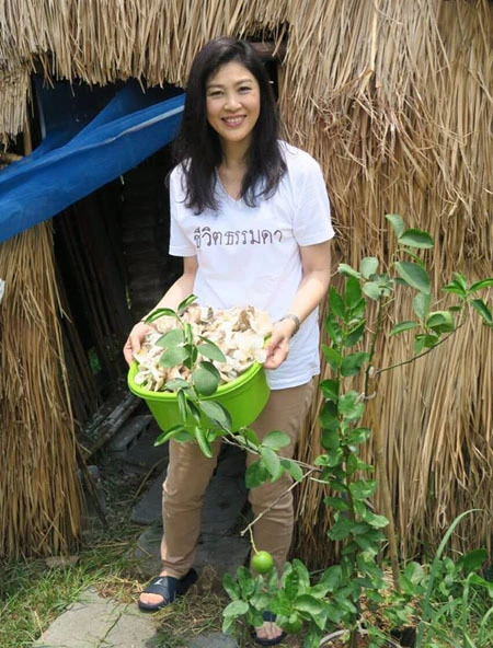 Cựu thủ tướng Yingluck trồng nấm khi xa rời chính trường ảnh 1 Cựu thủ tướng Yingluck trồng nấm khi xa rời chính trường ảnh 1