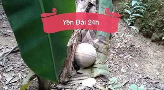 Hai 'vật thể lạ' rơi xuống ở Tuyên Quang, Yên Bái ảnh 5 Hai 'vật thể lạ' rơi xuống ở Tuyên Quang, Yên Bái ảnh 5