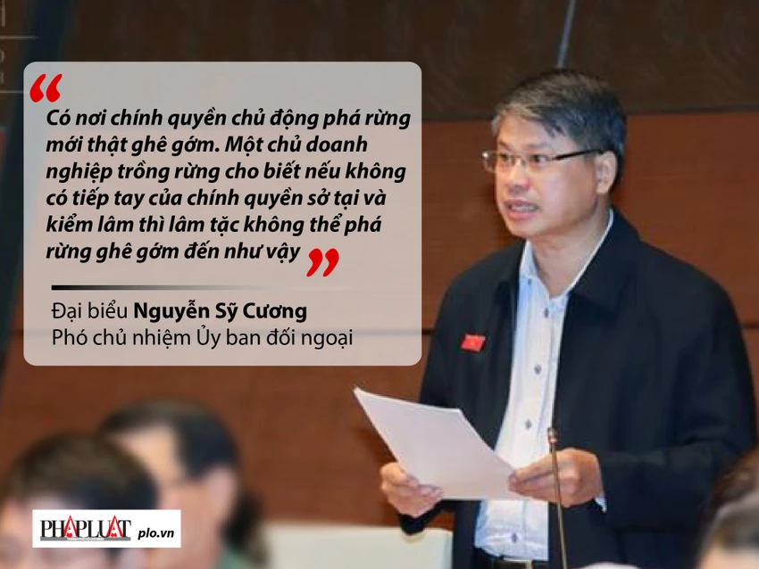 Những phát ngôn 'đốt nóng' nghị trường Quốc hội ảnh 3 Những phát ngôn 'đốt nóng' nghị trường Quốc hội ảnh 3