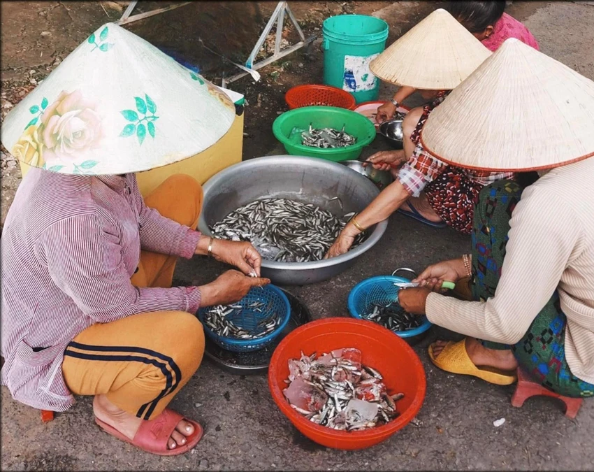 Người dân tranh thủ đánh bắt cá linh khi lũ bắt đầu đổ về . Ảnh: HUỲNH DU