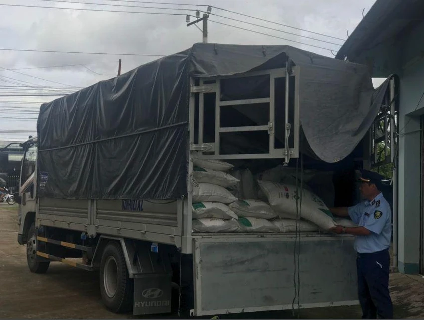 Lực lượng chức năng khám xét, thu giữ đường cát nhập lậu. Ảnh: CTV Buôn lậu đường cát