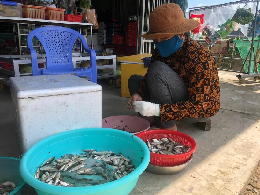 Người dân làm sạch cá linh bán giá cao hơn và để lâu hơn khi đem đi xa. Ảnh: HUỲNH DU Người dân làm sạch cá linh bán giá cao hơn và để lâu hơn khi đem đi xa. Ảnh: HUỲNH DU