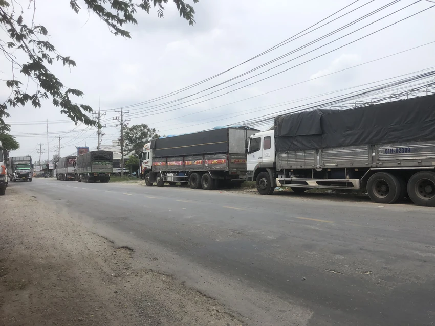 Đoạn đường dài với hàng chục xe chở lúa tập kết để chờ đến lượt vào xay xát. Ảnh: DK Đoạn đường dài với hàng chục xe chở lúa tập kết để chờ đến lượt vào xay xát. Ảnh: DK