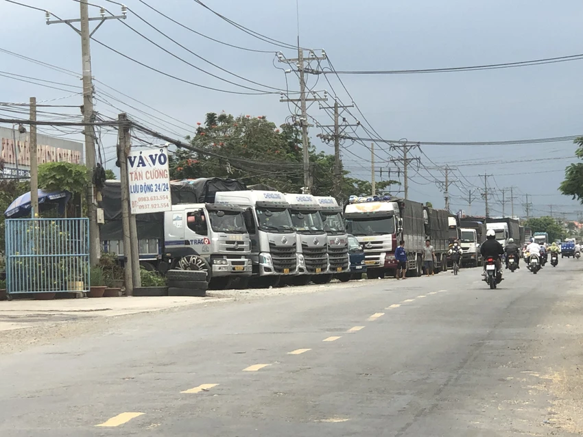 Hàng chục xe chở lúa tập kết trước nhà máy xay xát để chờ đến lượt đưa lúa vào. Ảnh:DK Hàng chục xe chở lúa tập kết trước nhà máy xay xát để chờ đến lượt đưa lúa vào. Ảnh:DK