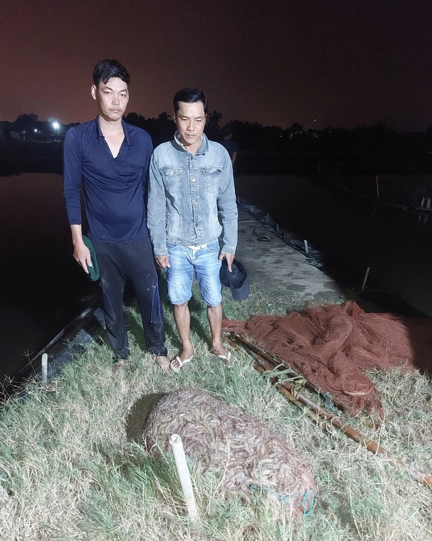 trộm tôm.jpg