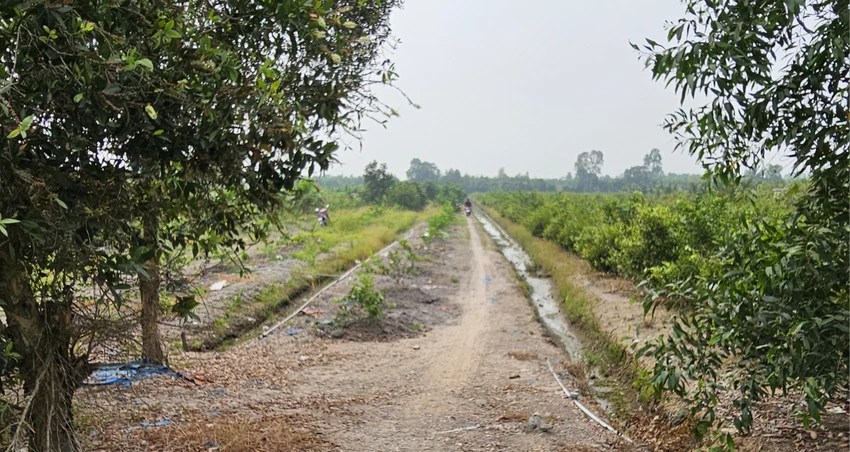 Kẻ giết người.jpg