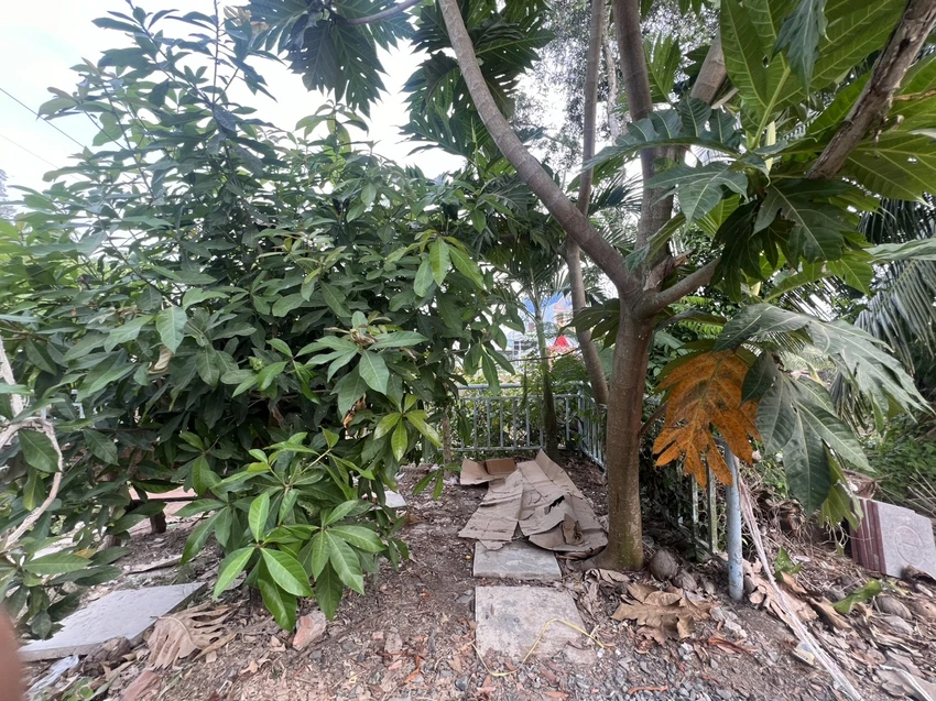 Giết người.jpg
